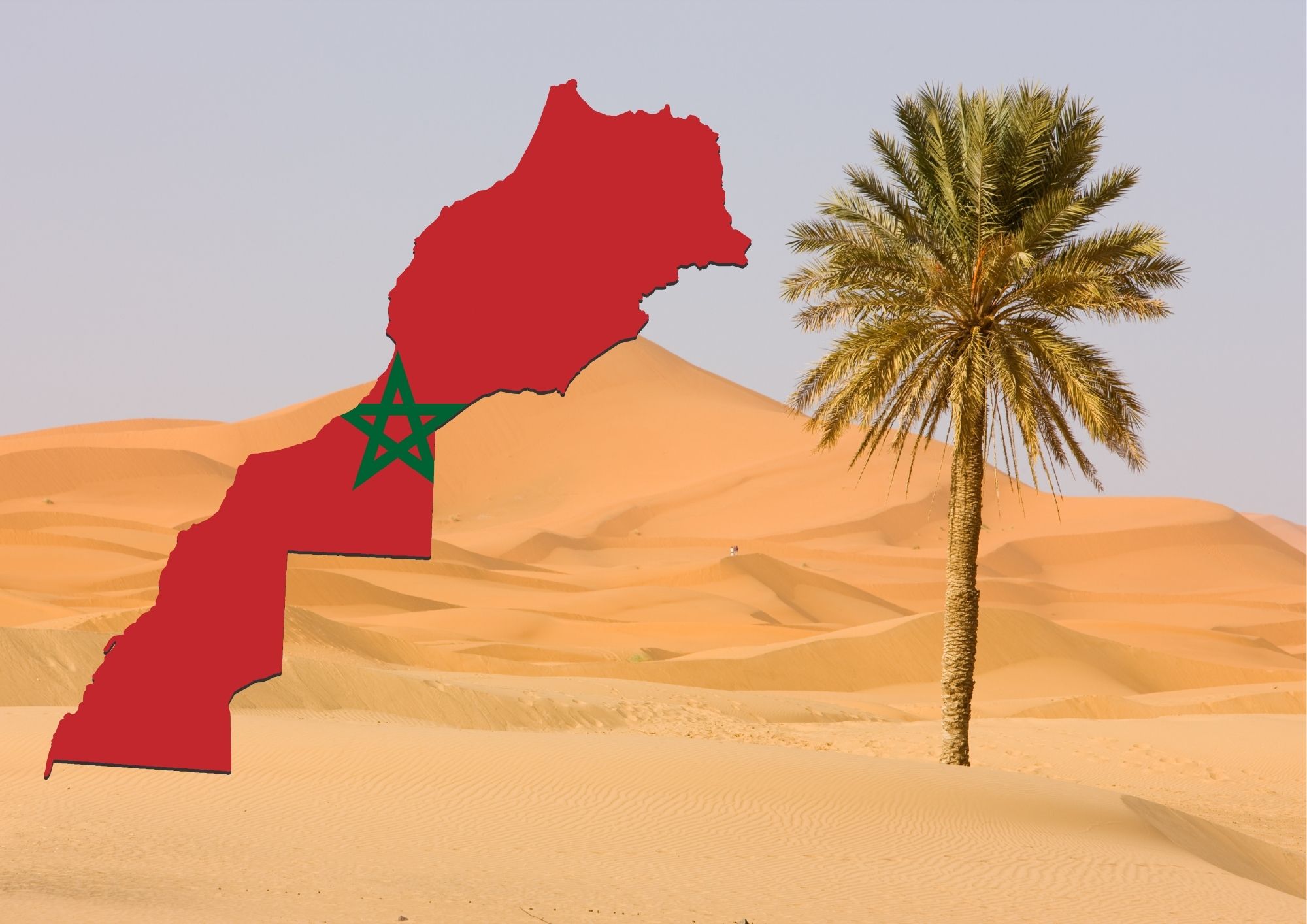 You are currently viewing Le sahara marocain