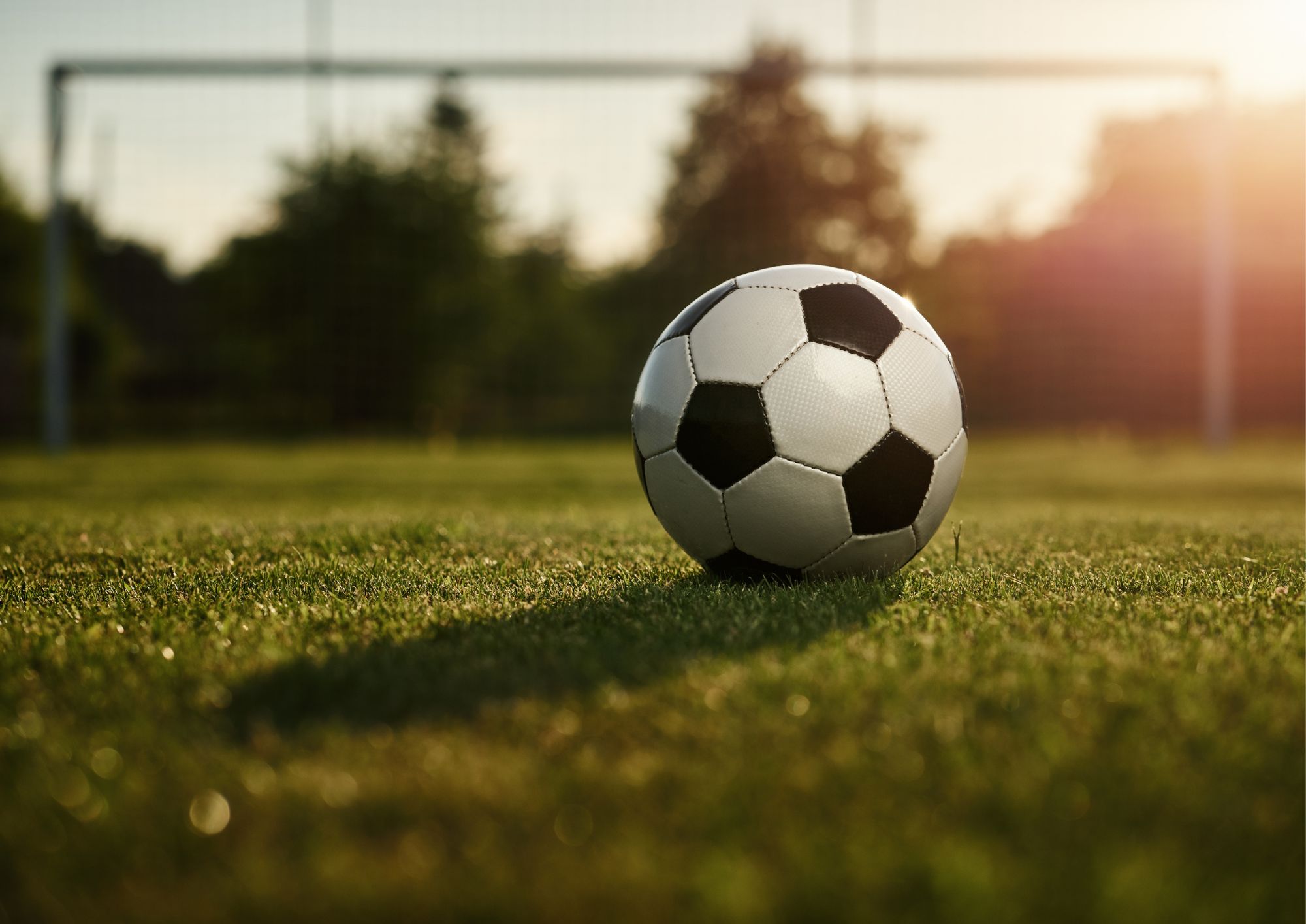 You are currently viewing Le Football